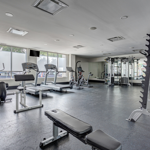 Mode Logan Square - Fitness Center With Complete Equipment