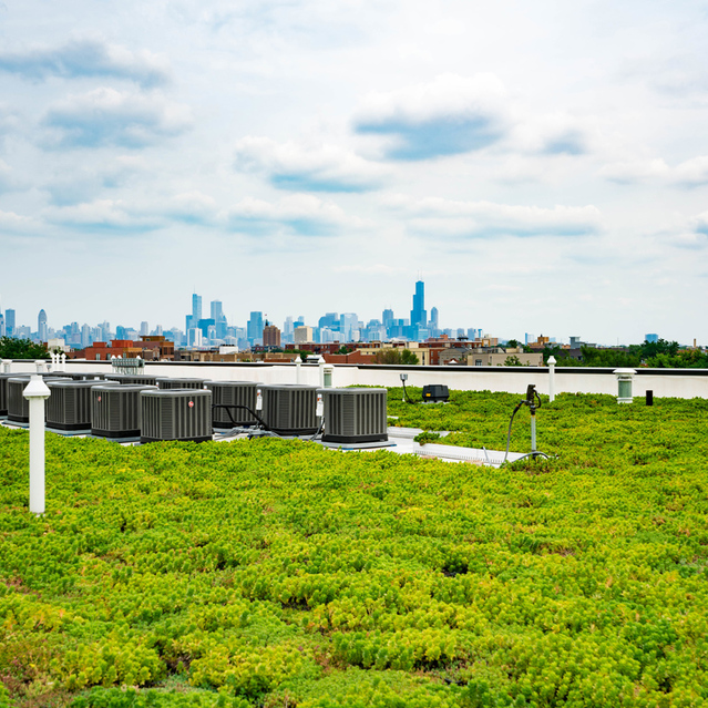 Mode Logan Square - Rooftop Greenery